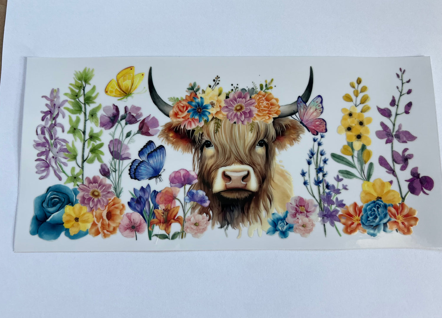Animals & Butterflies