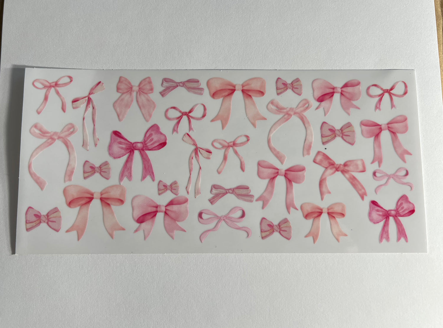 Bows & Coquette